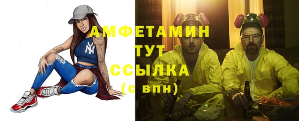 spice Дмитриев