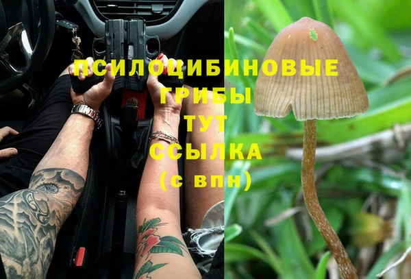 трава Дмитровск