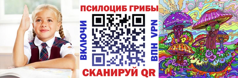 Псилоцибиновые грибы Psilocybe  Осинники 